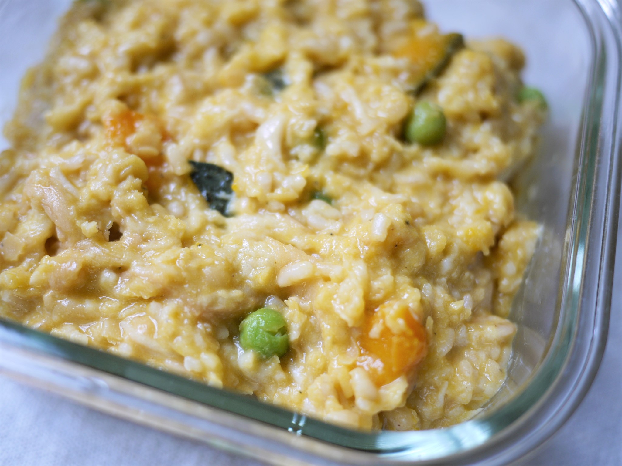 ヴィーガンレシピ レンズ豆と豆腐の手作り犬ごはん エシカルな食卓